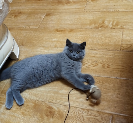 微信截图_20190625173509.png