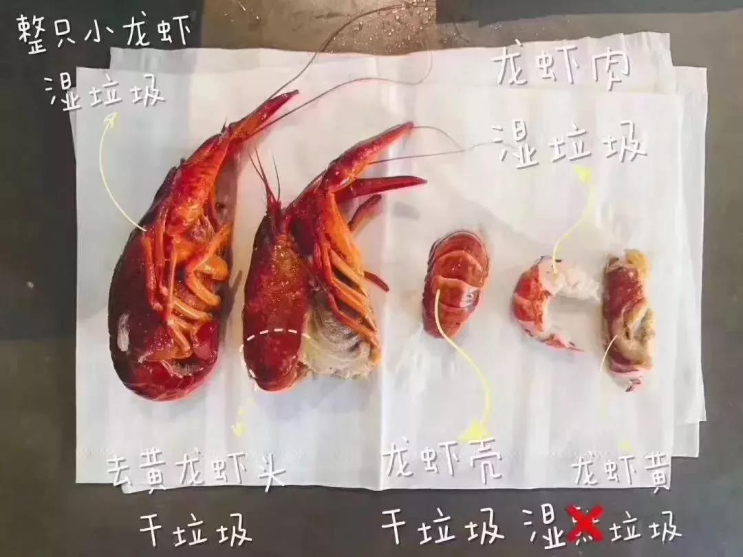 微信图片_20190628095419.jpg