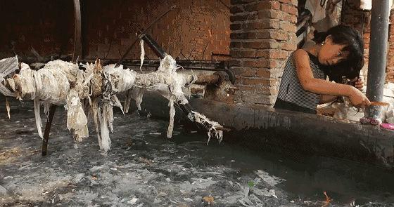 微信图片_20190628100222.gif