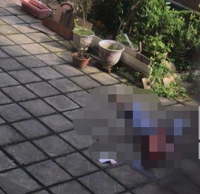 微信截图_20190628134034.png
