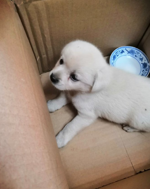 微信截图_20190701170518.png