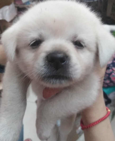 微信截图_20190701170531.png