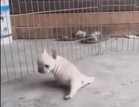 微信截图_20190702140627.png