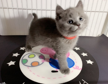 微信截图_20190702165117.png
