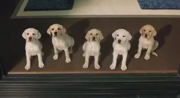 6.png