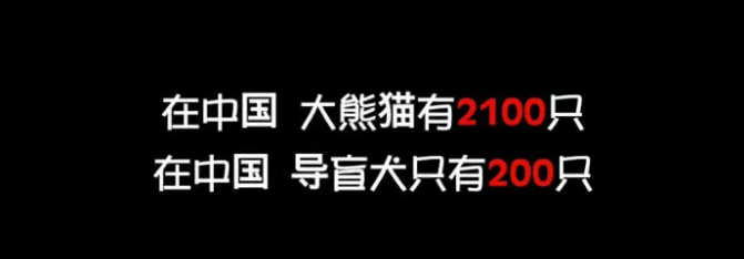 17.png