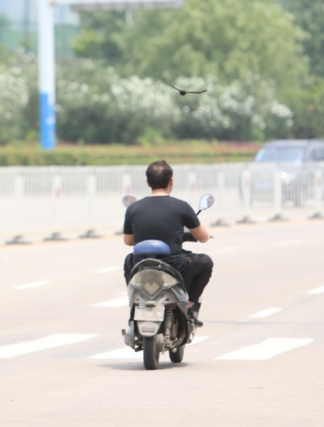 微信截图_20190705131831.png