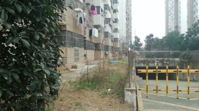 微信截图_20190708180133.png