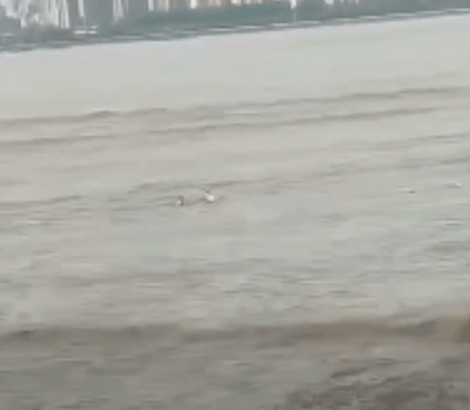 微信截图_20190709095927.png