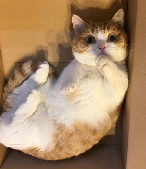 微信截图_20190710162226.png