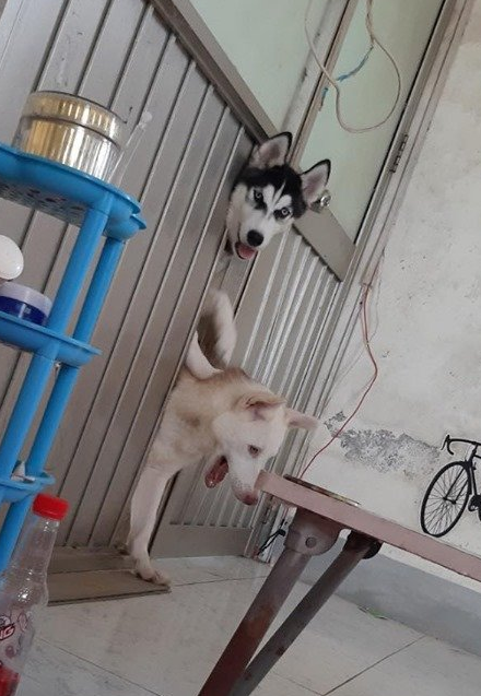 微信截图_20190710171408.png