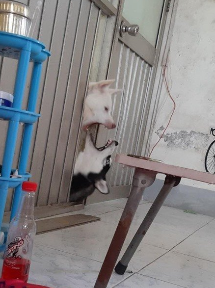 微信截图_20190710171418.png