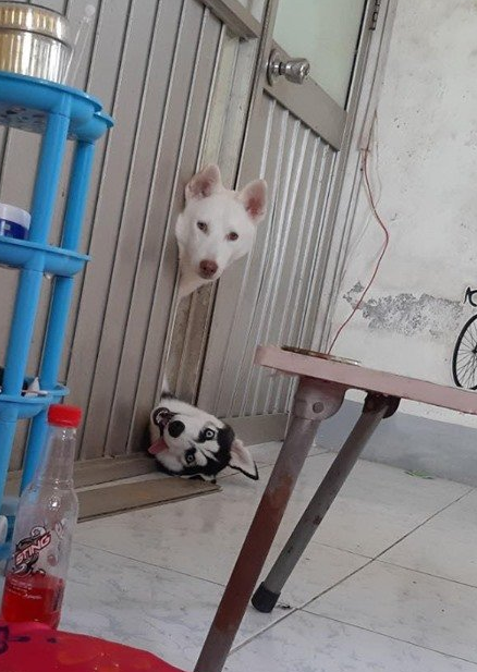 微信截图_20190710171423.png