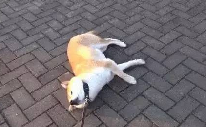 微信截图_20190711131325.png