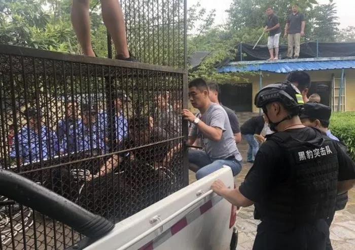 微信图片_20190712155145.jpg