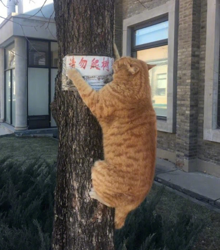 微信截图_20190712155720.png