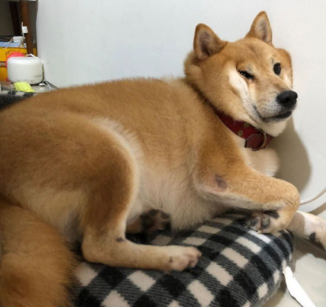 微信截图_20190712160531.png