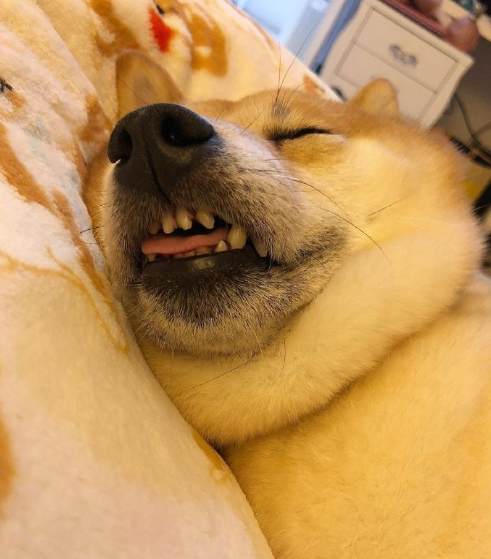微信截图_20190712160544.png