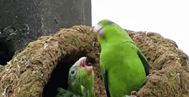 005PxbWily1g4nlvrnntyg307i03unpd.gif