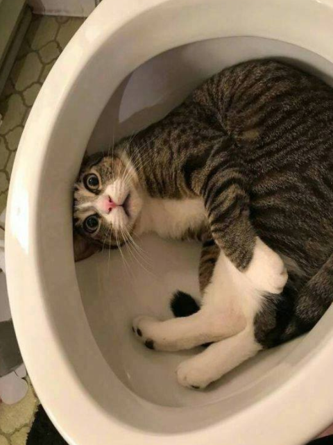 微信截图_20190715140031.png