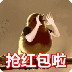 001.gif