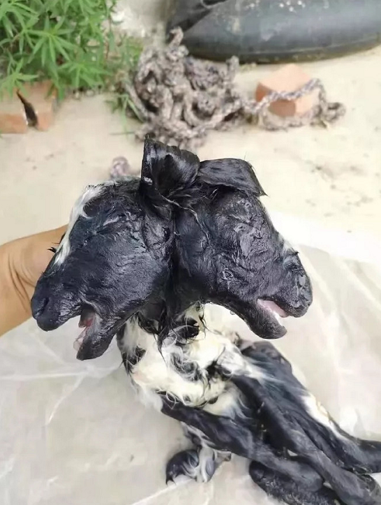 微信截图_20190716154816.png