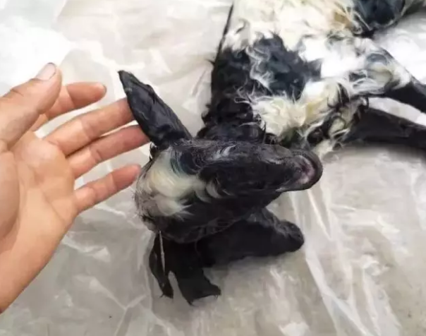 微信截图_20190716154833.png