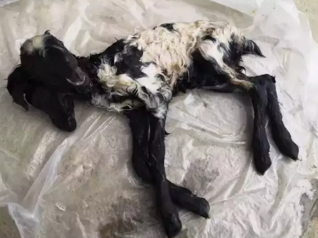 微信截图_20190716154849.png