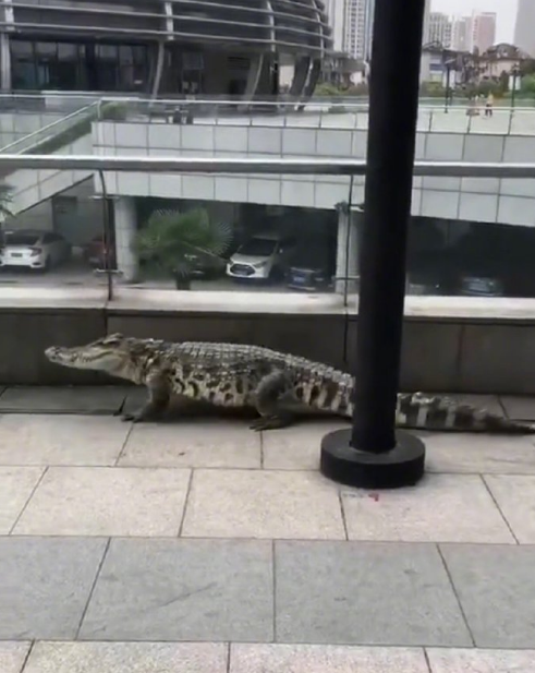微信截图_20190717131341.png