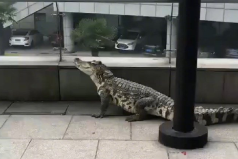 微信截图_20190717131348.png