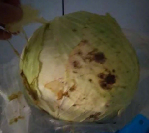 微信截图_20190717150144.png