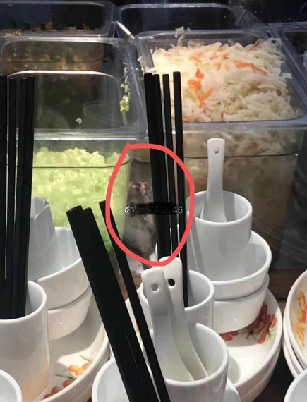 微信截图_20190718091130.png