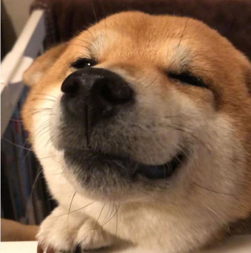 微信截图_20190719125408.png