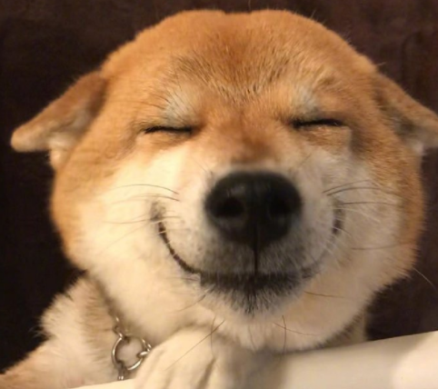 微信截图_20190719125415.png