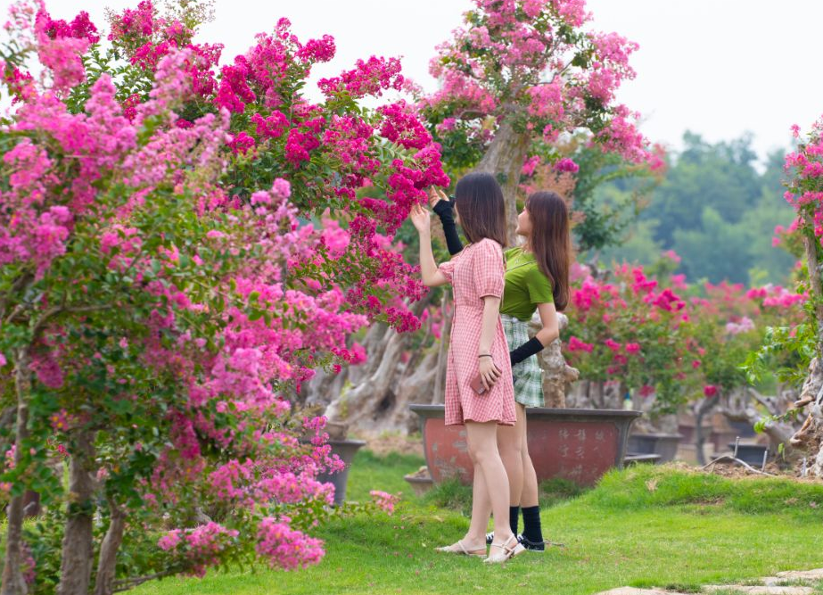 微信截图_20190719171150.png