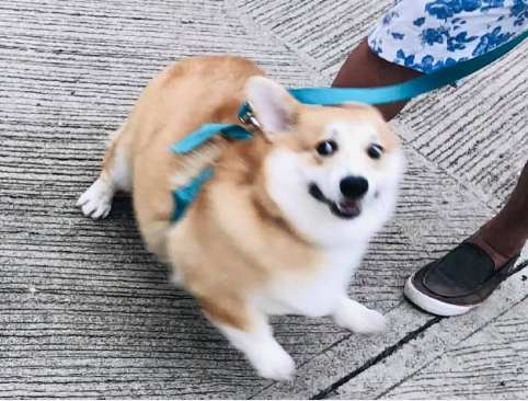 微信截图_20190722151030.png