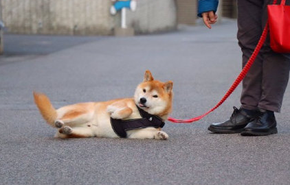 微信截图_20190723154726.png