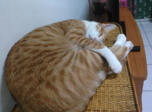 微信截图_20190726140817.png