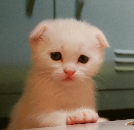 微信截图_20190729125814.png