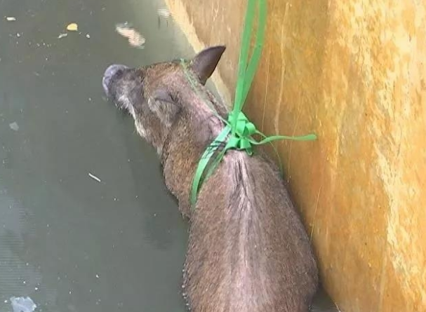 微信截图_20190729133750.png