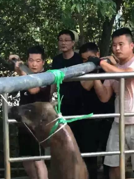 微信截图_20190729133946.png