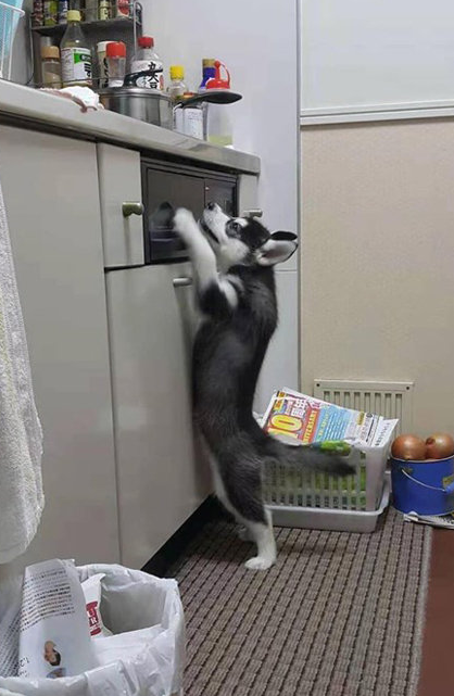 微信截图_20190730172650.png