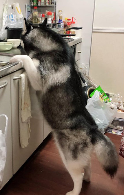 微信截图_20190730172655.png
