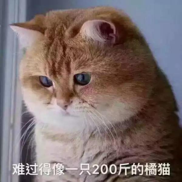 微信图片_20190731170042.jpg