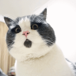 微信图片_20190801141851.gif