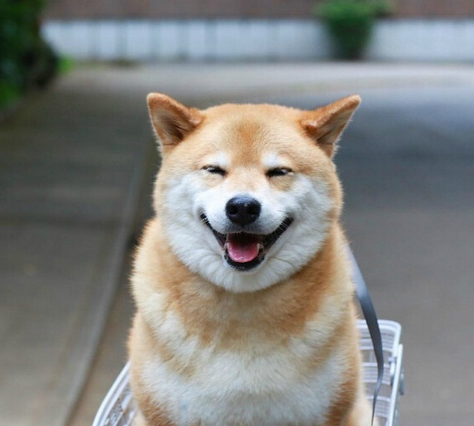 微信截图_20190801165655.png