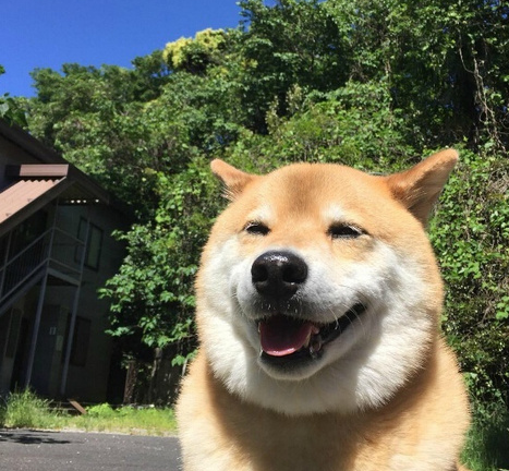 微信截图_20190801165721.png