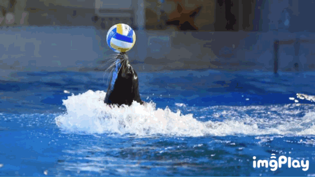 微信图片_20190805181024.gif