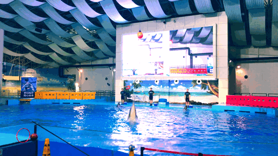 微信图片_20190805181028.gif