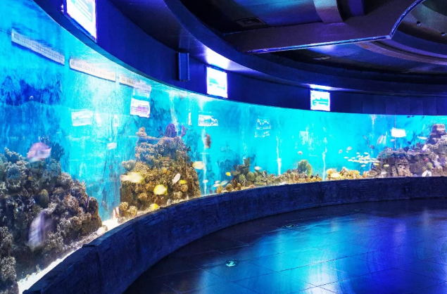 微信截图_20190805181155.png